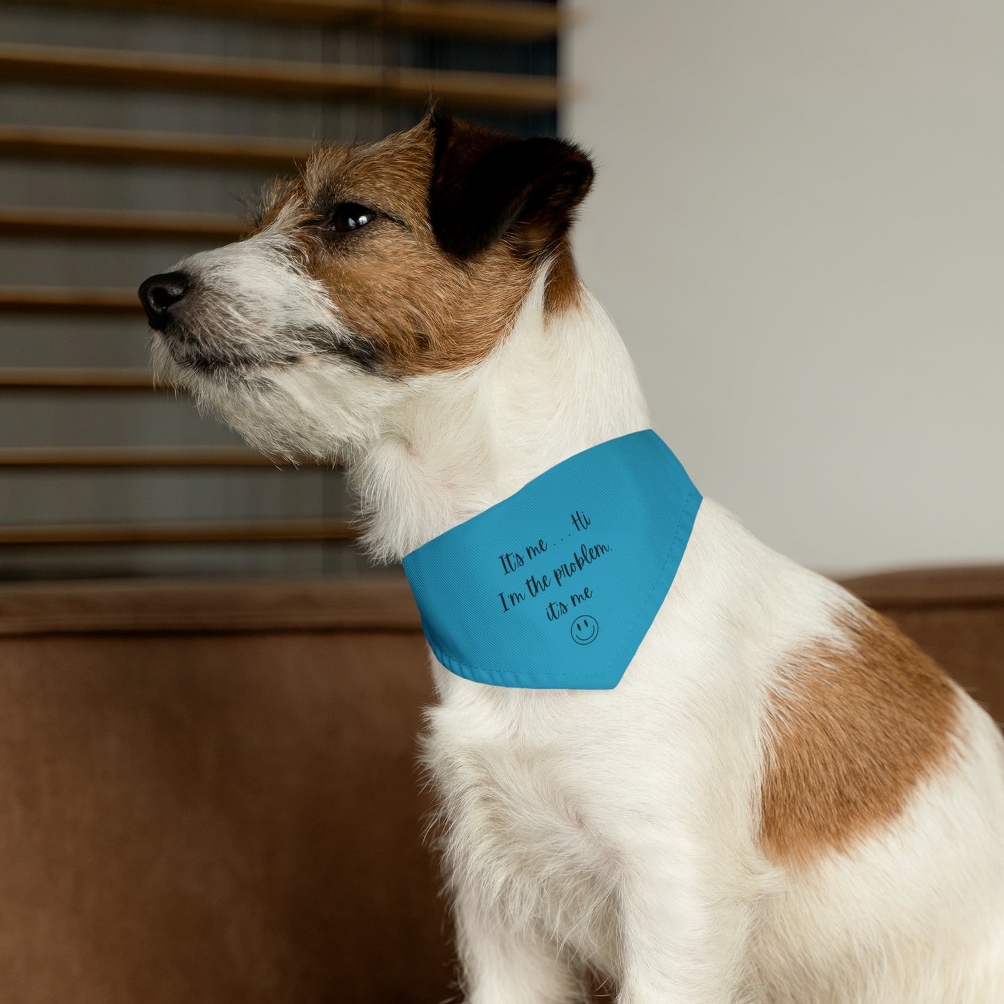 It's Me - Pet Bandana Collar - Turquoise