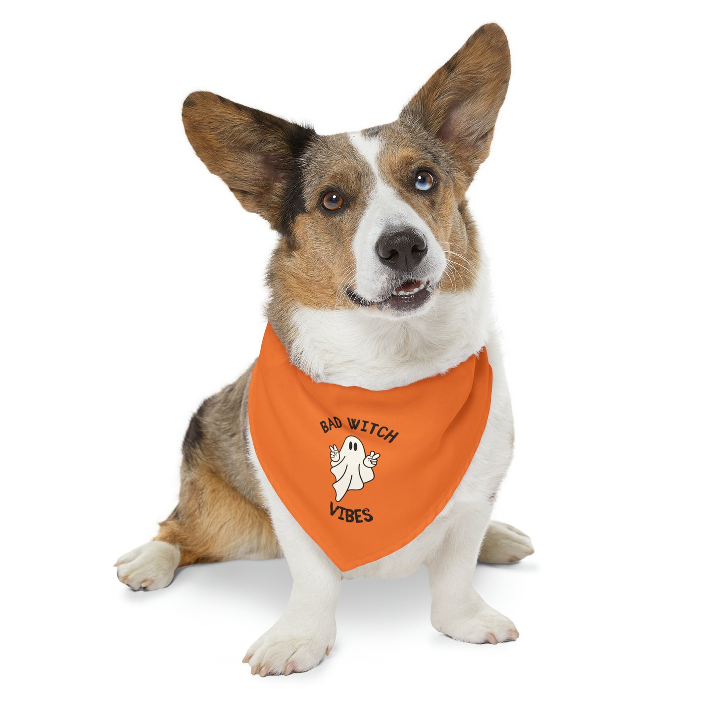 Bad Witch - Pet Bandana Collar