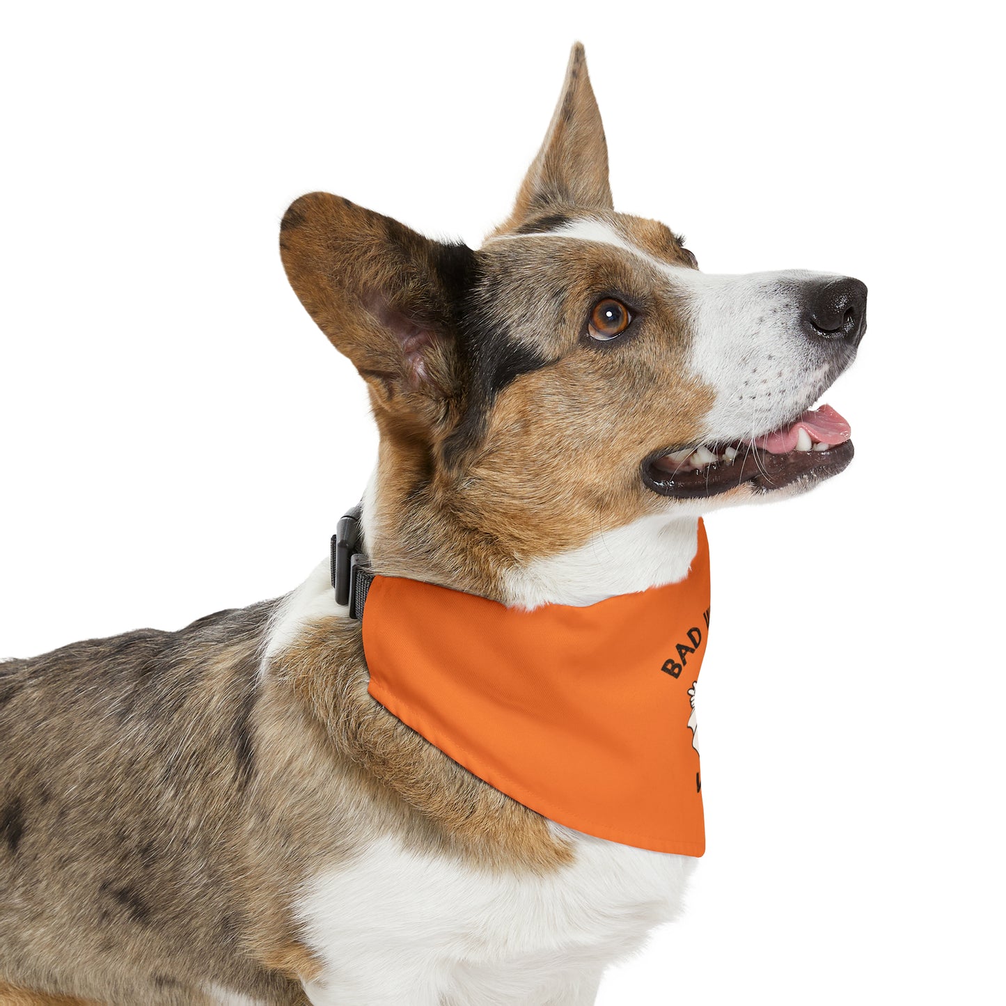 Bad Witch - Pet Bandana Collar