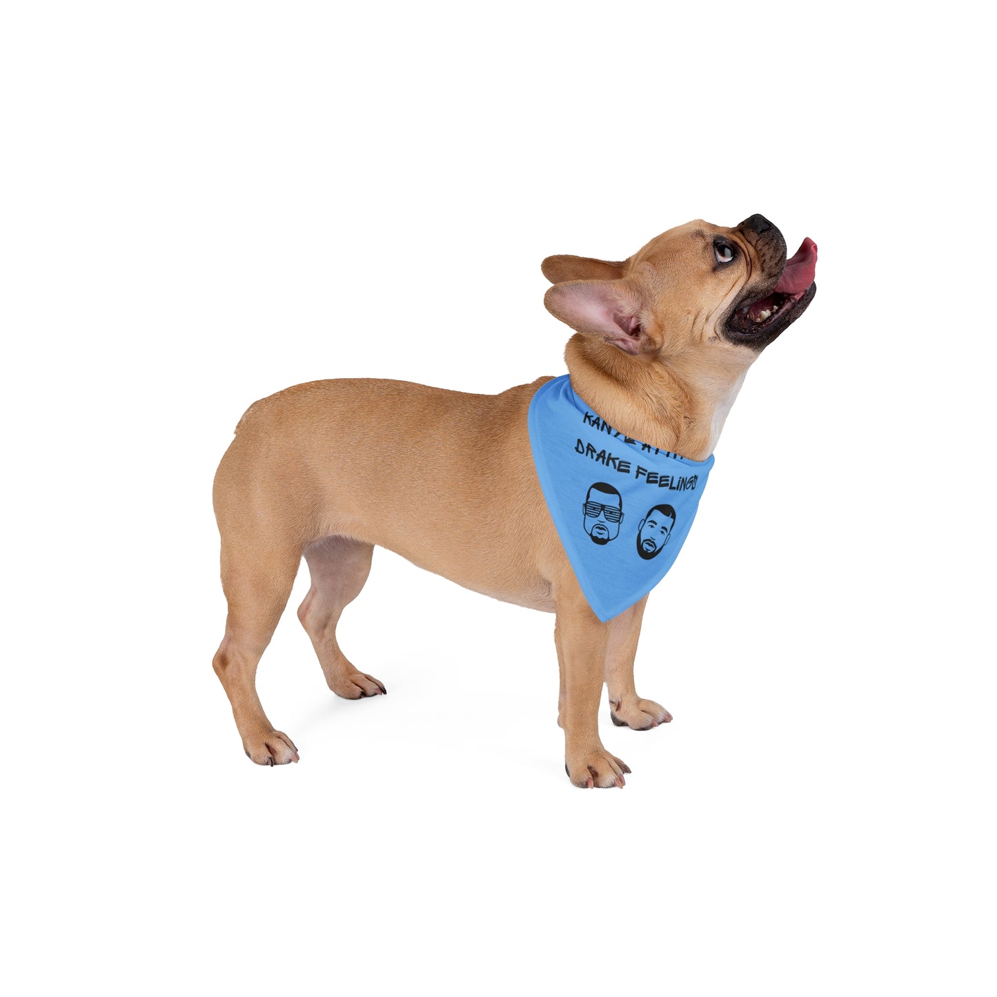 Attitude - Pet Bandana - Light Blue