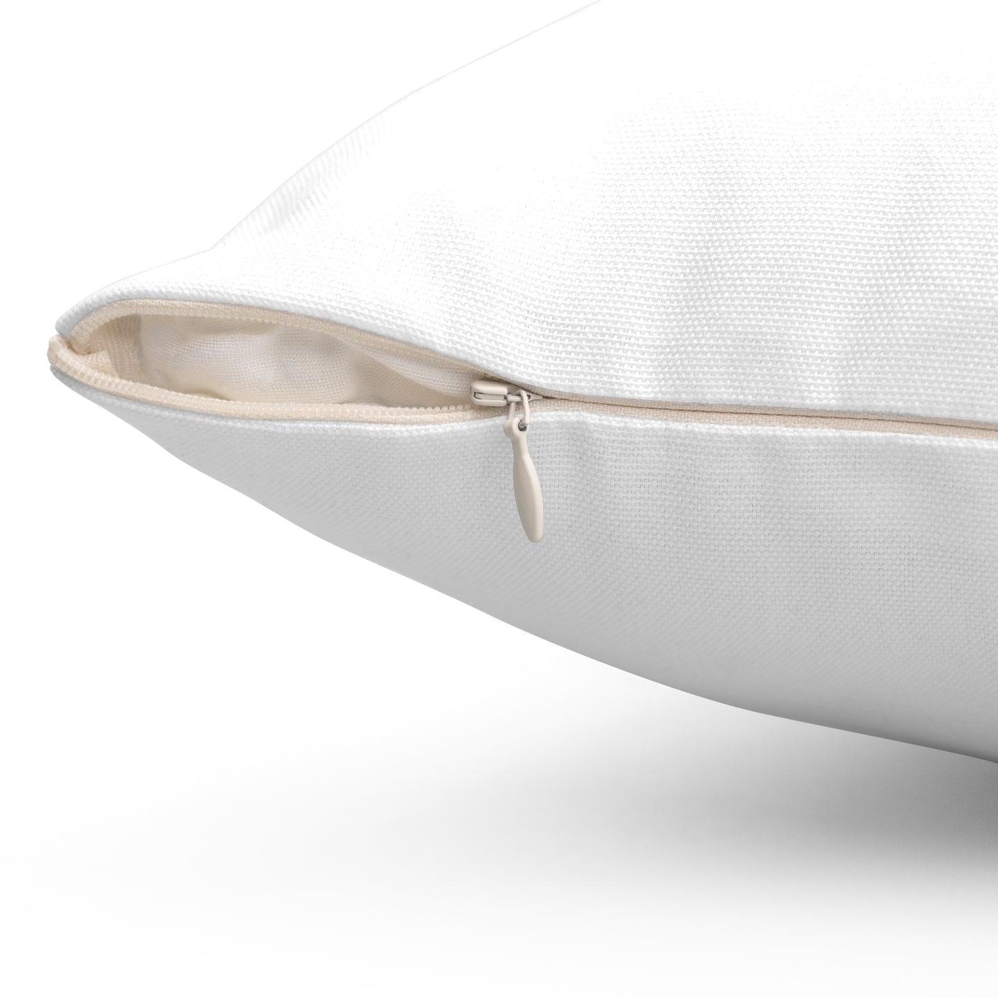 Buy the Bag Square Pillow