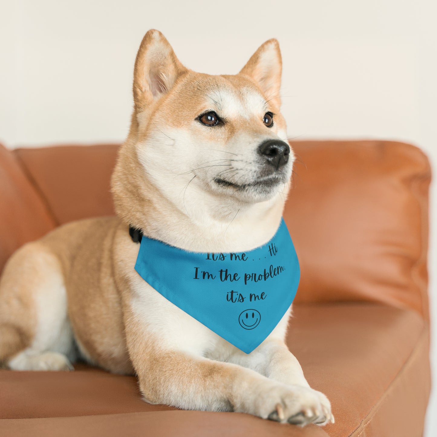 It's Me - Pet Bandana Collar - Turquoise