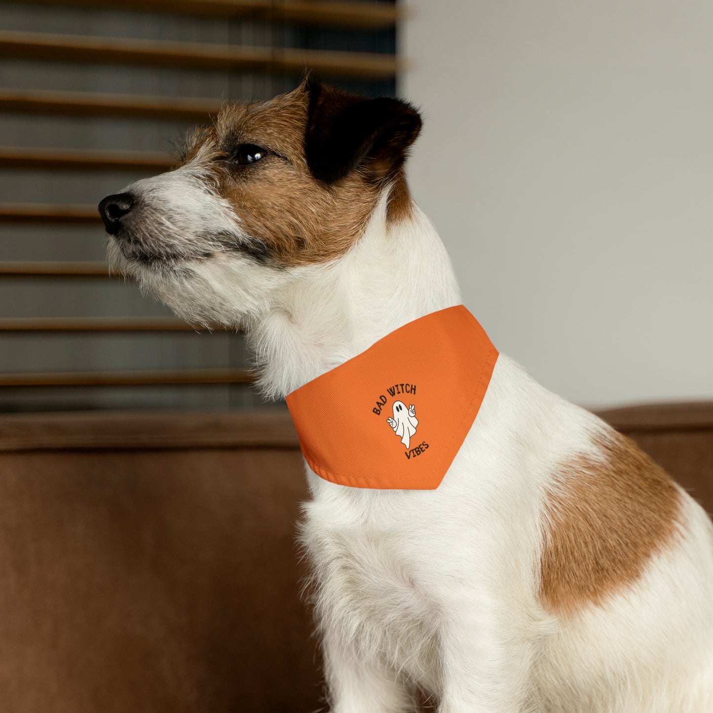 Bad Witch - Pet Bandana Collar
