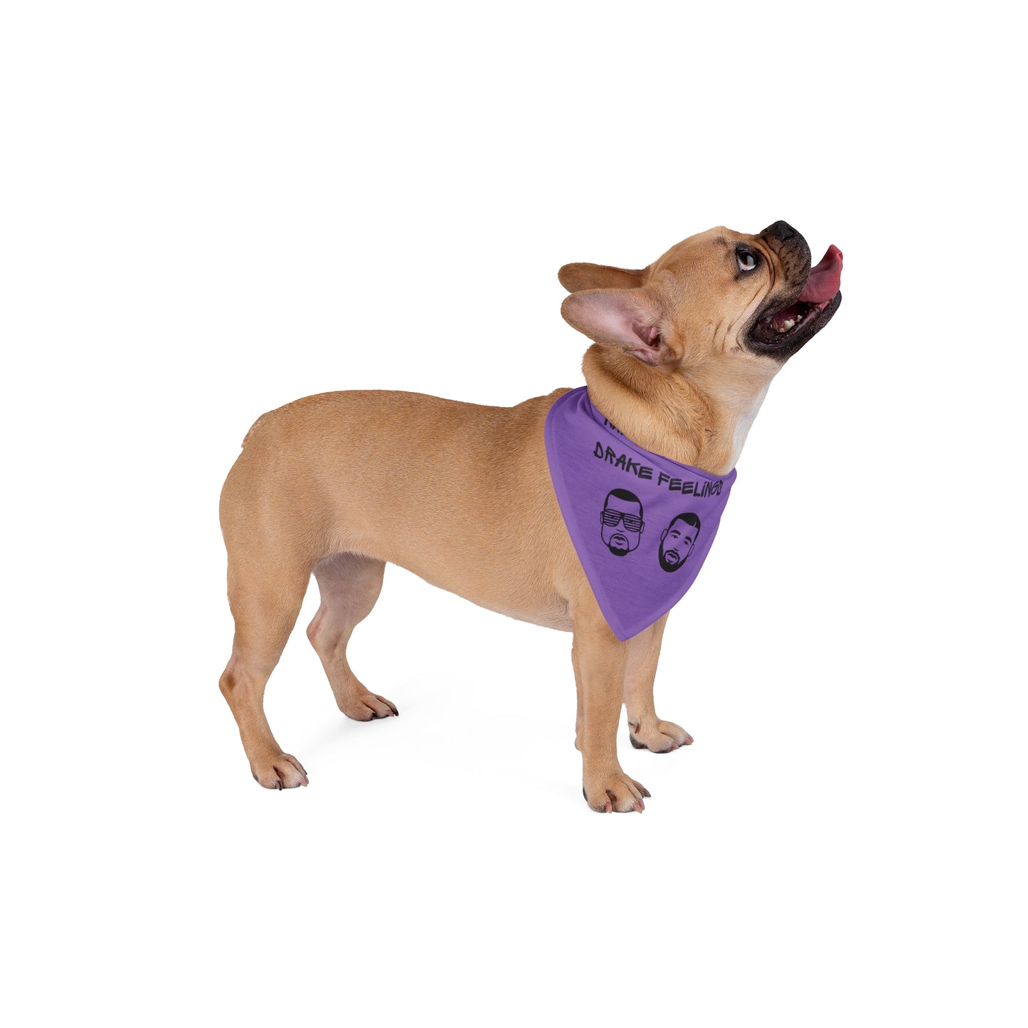 Attitude - Pet Bandana - Purple