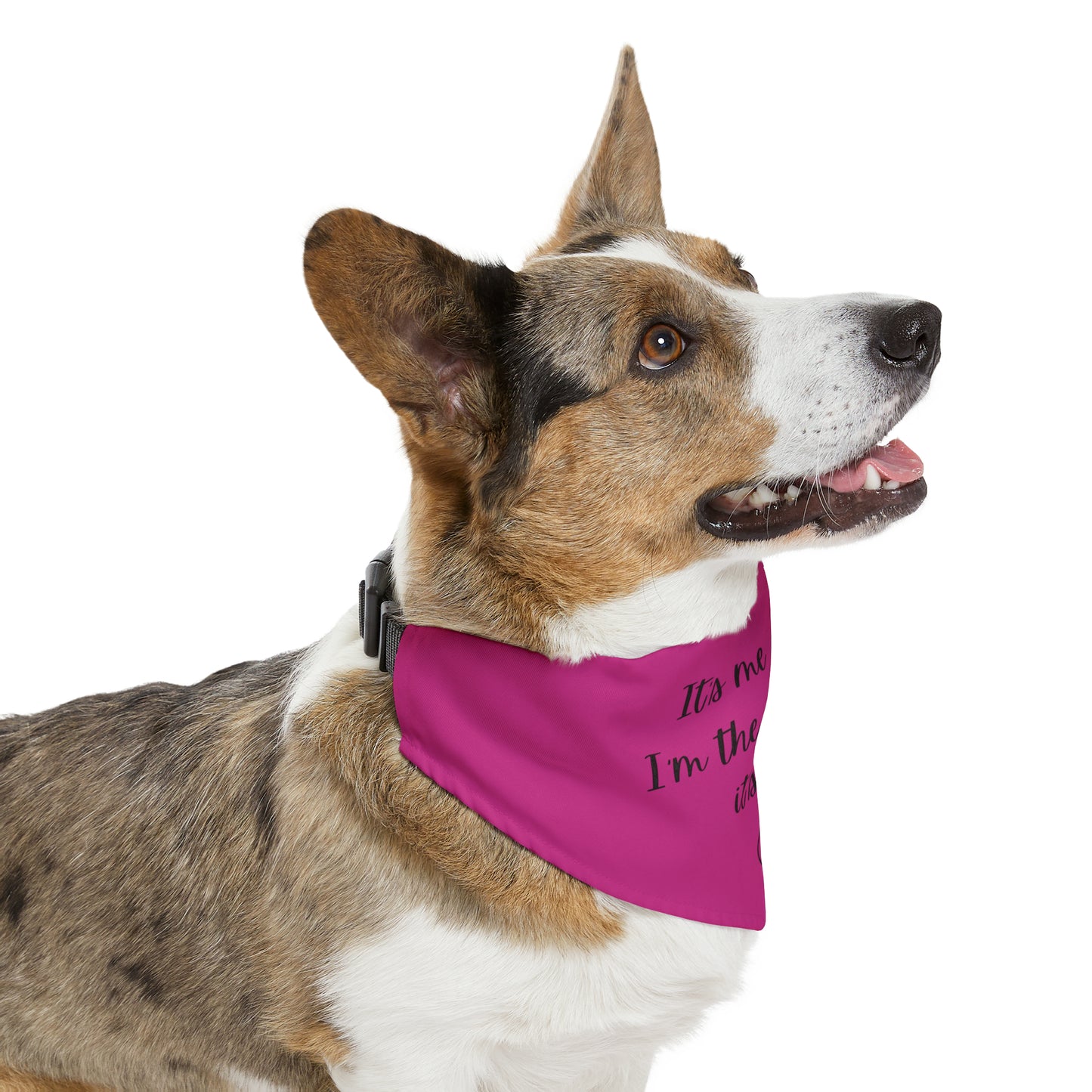 It's Me - Bandana Collar - Dark Pink