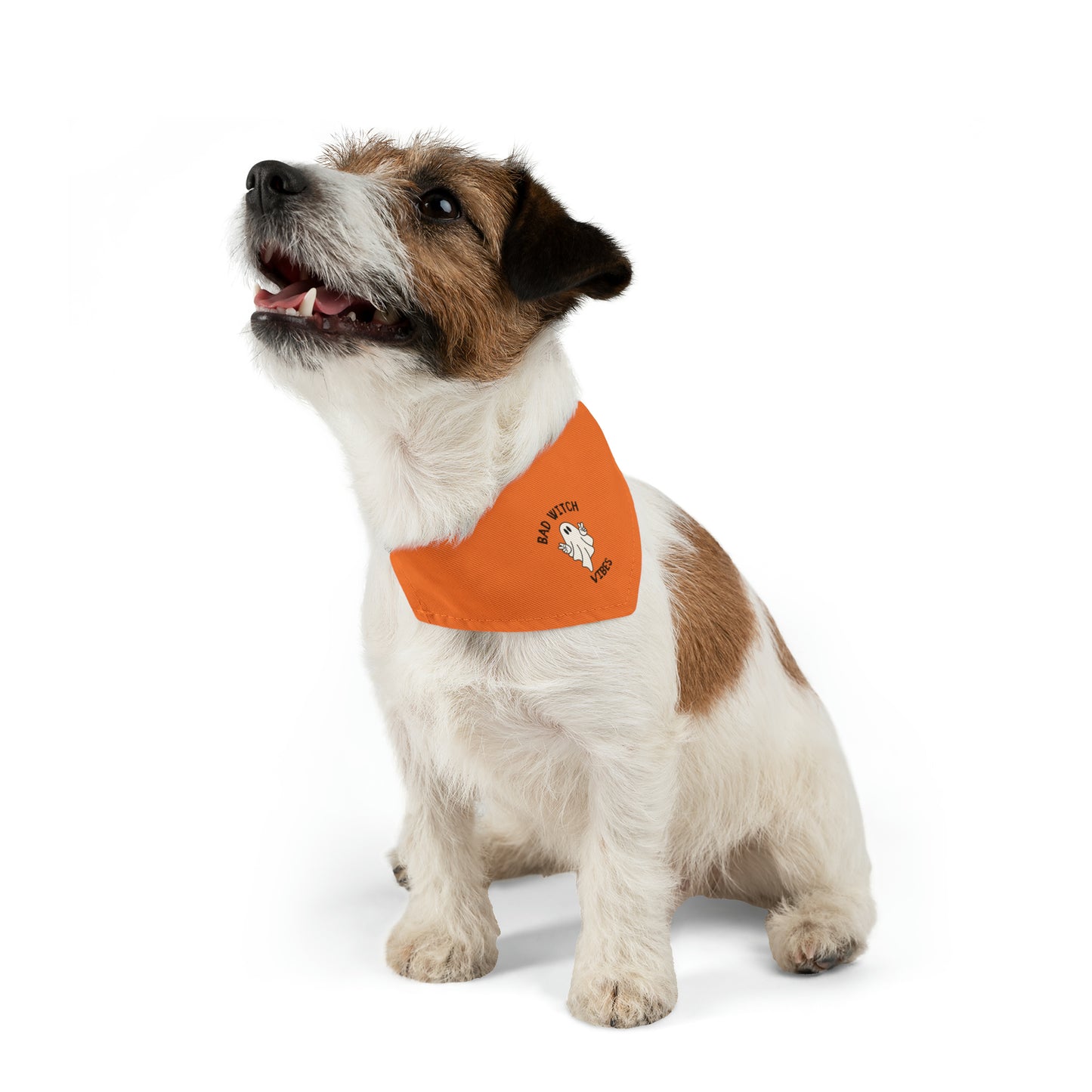 Bad Witch - Pet Bandana Collar