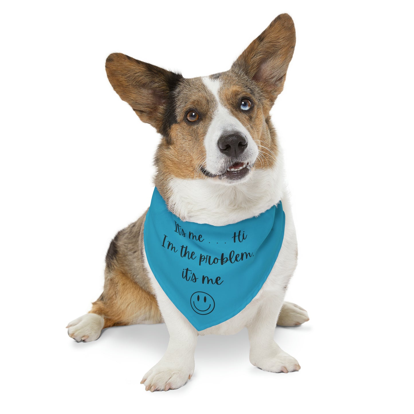 It's Me - Pet Bandana Collar - Turquoise