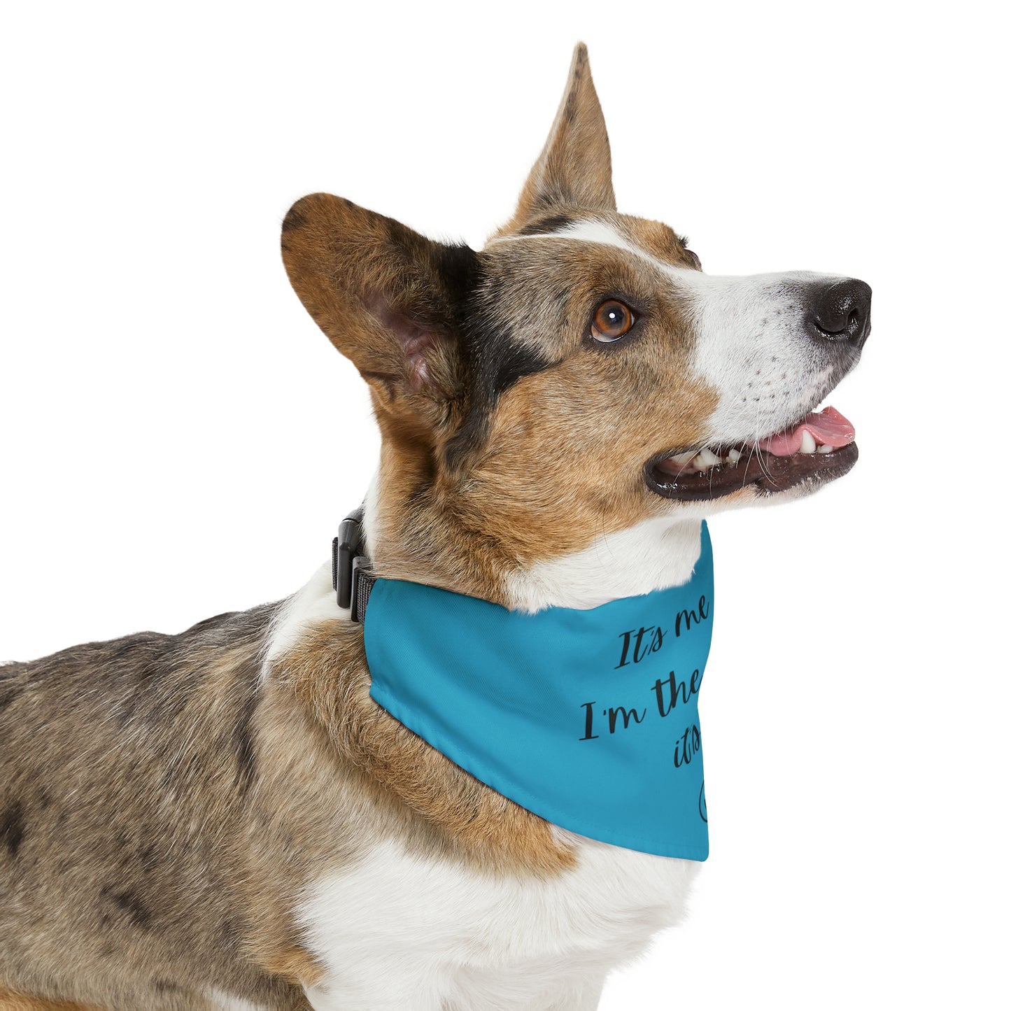 It's Me - Pet Bandana Collar - Turquoise